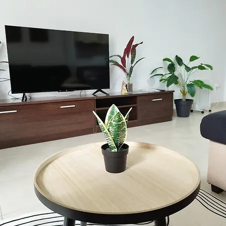 Cozy In Apartamento